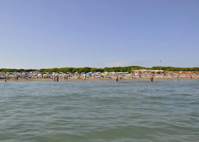 Appartement Beachfront In 54343